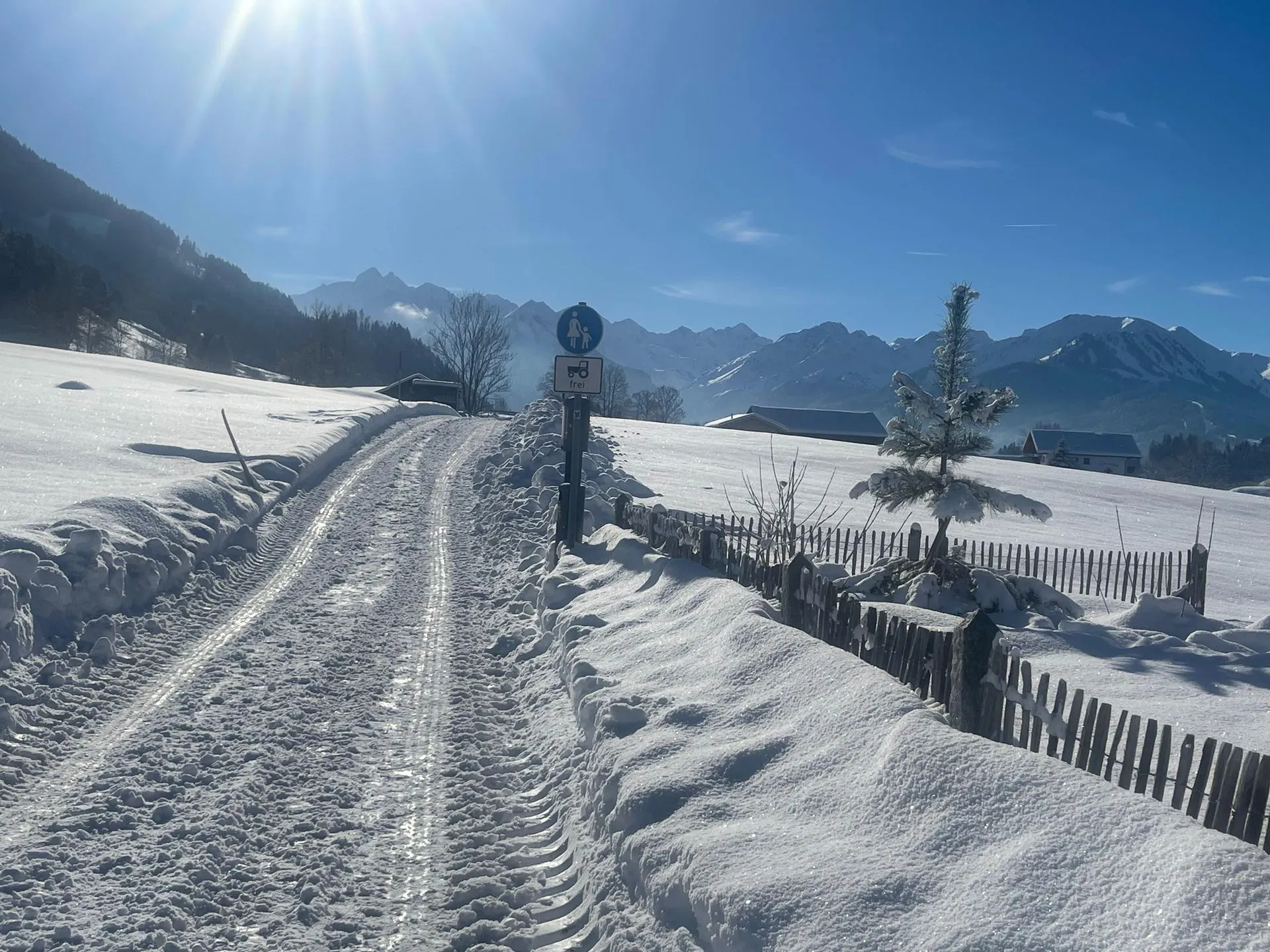 Bergblick vom Weg der allergikerfreundlichen Ferienwohnung Epp in Schöllang bei Oberstdorf
