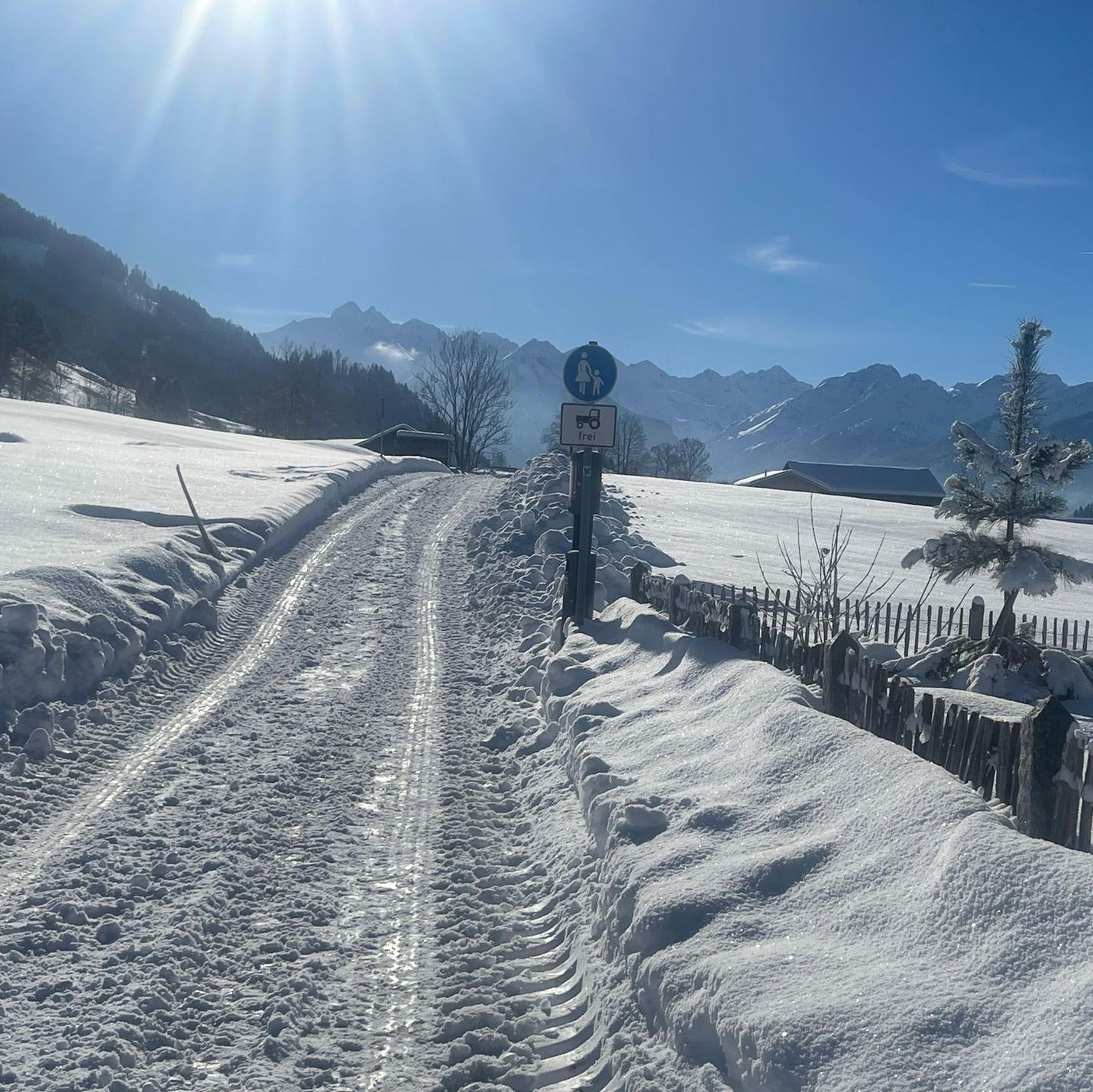 Bergblick vom Weg der allergikerfreundlichen Ferienwohnung Epp in Schöllang bei Oberstdorf